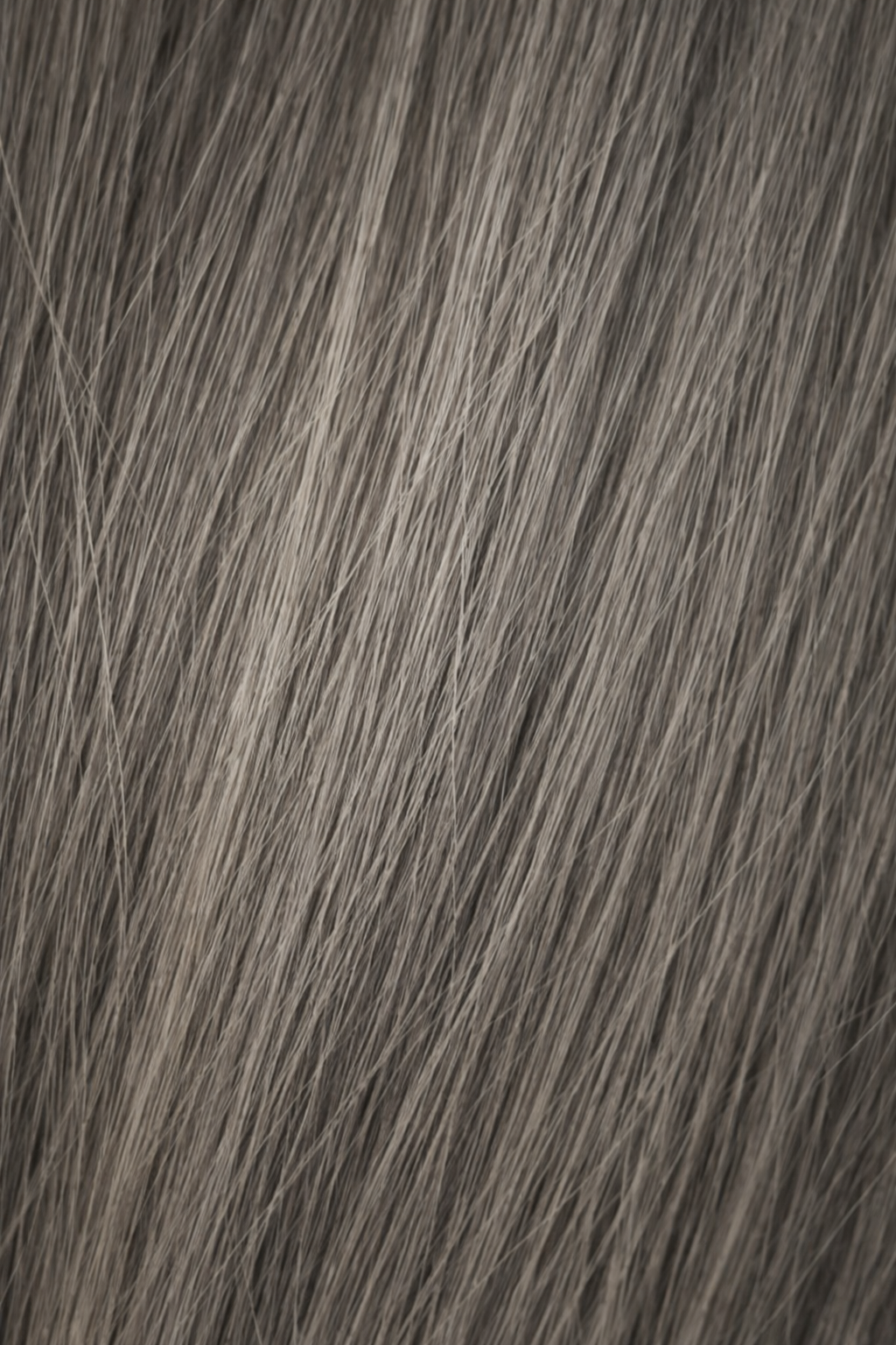 PHANTOM WEFTS -Straight
